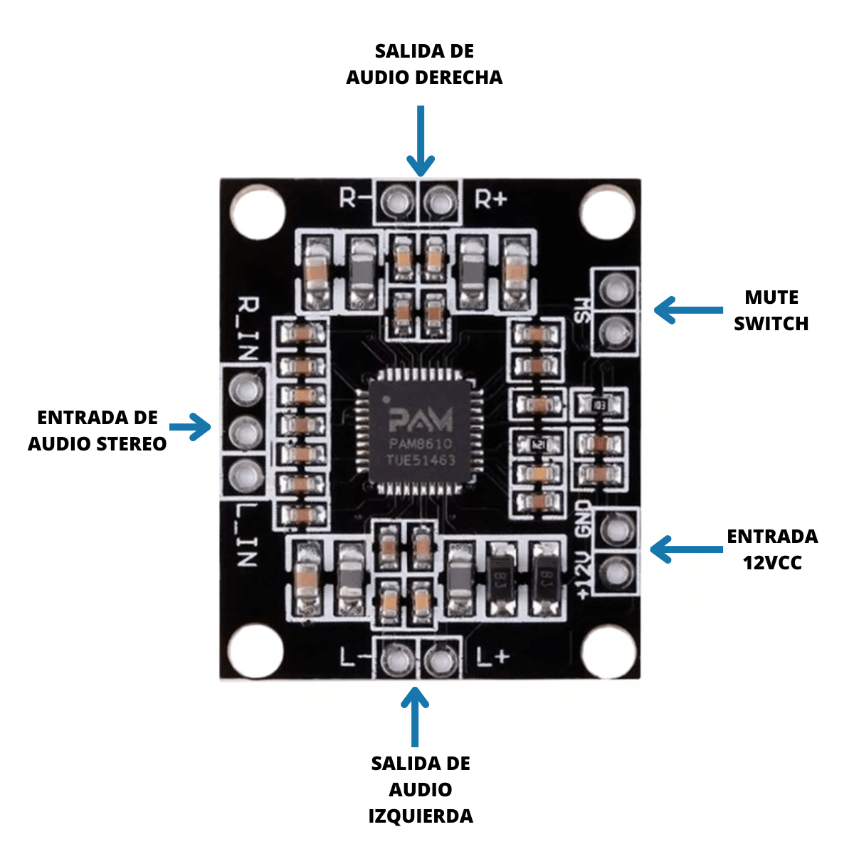 Placa De Amplificador De Potencia Digital Pam8610 Arduino - Imagen 2